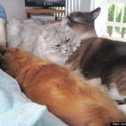 northwestkathleen:Lapful of love!