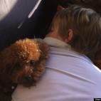 Irene Malone:Pumpkin loves nothing more than curling up with Dan in the afternoon