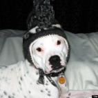 AngelaWebb:Baby it is cold outside!