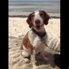 mikezi007:A day at Miami Beach with Kona