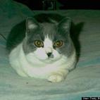 Trudy Bristol Marchant:My Birthday present one year...she's very sweet....