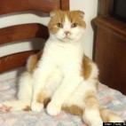 Trudy Bristol Marchant:He is a clown...we laugh at his antics everyday