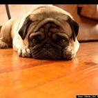 Maria Del Pilar Hernande:Planning a new move!