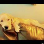 bonniesloane:literally hangin