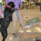 Martha Call Gibby:Drift shopping - has birthday money