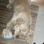 dmaiorino:Having a healthy lunch