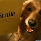 Andrea Hardy Ihara:This was the day we rescued Max. He certainly seemed happy to have us. We don't know who was luckier, Max or us?