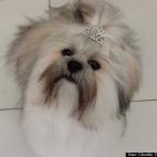 Claudia Castelo Branco:Being a princess is a full-time job, but someone has to do it.