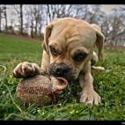 DevilforHire:Penny says "Play Ball!"