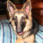 MiCROII:I am happy here. Oh, you want a pic of me? Okay....