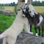 IMUAMEDIA:BILLY IS MY BFF!!