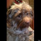 RecruitingBiker:This is the Amazing Miss Brown the boss of all of us....