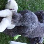 Deborah Wardell Noble:She loves to carry a baby around with her.