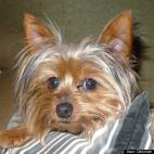 Deborah Wardell Noble:He runs the show