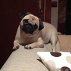 Roberto Alonso:ESTOY AGOTADA!!!!