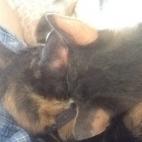 mf0511:Nothing comes between me and sister!