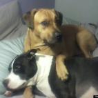 Bek Corbin:Lazy Morning