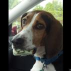 Lacy Jinks:Don't take my freakin cookie!!