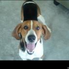 Lacy Jinks:Jake says hi!!