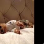 drewsky57:Everone loves a good pair of pajamas...they make me smile!