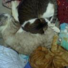 leftfieldleftie:Is there room for one more?