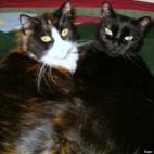 onefunnygook:Do YOU mind? Mhmmm...