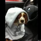 Washingtonajen:Not every rainy day is soothing.