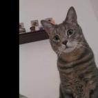 sharilee:I can haz breakfast now?