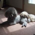 ChickEpoo:The "angels of photos" were with me this day !!.... They stayed still.