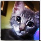 Maz Durbin:This photo says it all - cheeky, curious and full of personality.