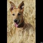 Jackie Keeler:Whasat???