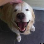 erinannflood21:Who's a good boy?