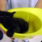 Annie L1:small and feisty!!