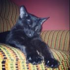 DJDaikon:Takk falling asleep