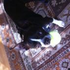 TLDUFFY:Jackpot wants to know if you want to play a little ball.