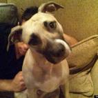 clarkannae:How can you not just fall in love with this face?!