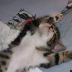 DyanYork:Just kickin' back ~