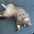 DyanYork:Senior citizen ~