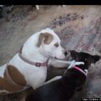 Colleen Farmer Whalen:let me show you how to do this