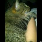 Alayna Davis:Mae can only sleep with my arm... and if she's holding my hand.