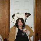 Debbie Droog:Shakes Climbs The Mountain....Again!