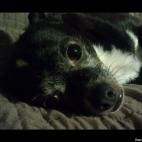 Cindy Kepler:Sweet little man