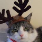 sbruc002:He loved every minute of it.