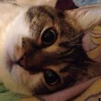 helllodolly:Her name is Baby Girl, and she's definitely the baby of the family.