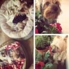 castcyn:Because they bring joy to our family every single day.