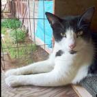 trritchie1:Does handsome count?