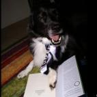 stevieg77:She almost has too much personality.