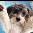 Ncraigchicago:I give up!!