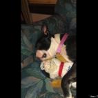 Casey L Karns:Karly and her "Lovie"