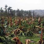 5c8ad167360000ba1a6c2070